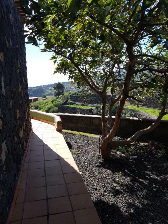 Buenavista de Abajo La Sabanaゲストハウス エクステリア 写真